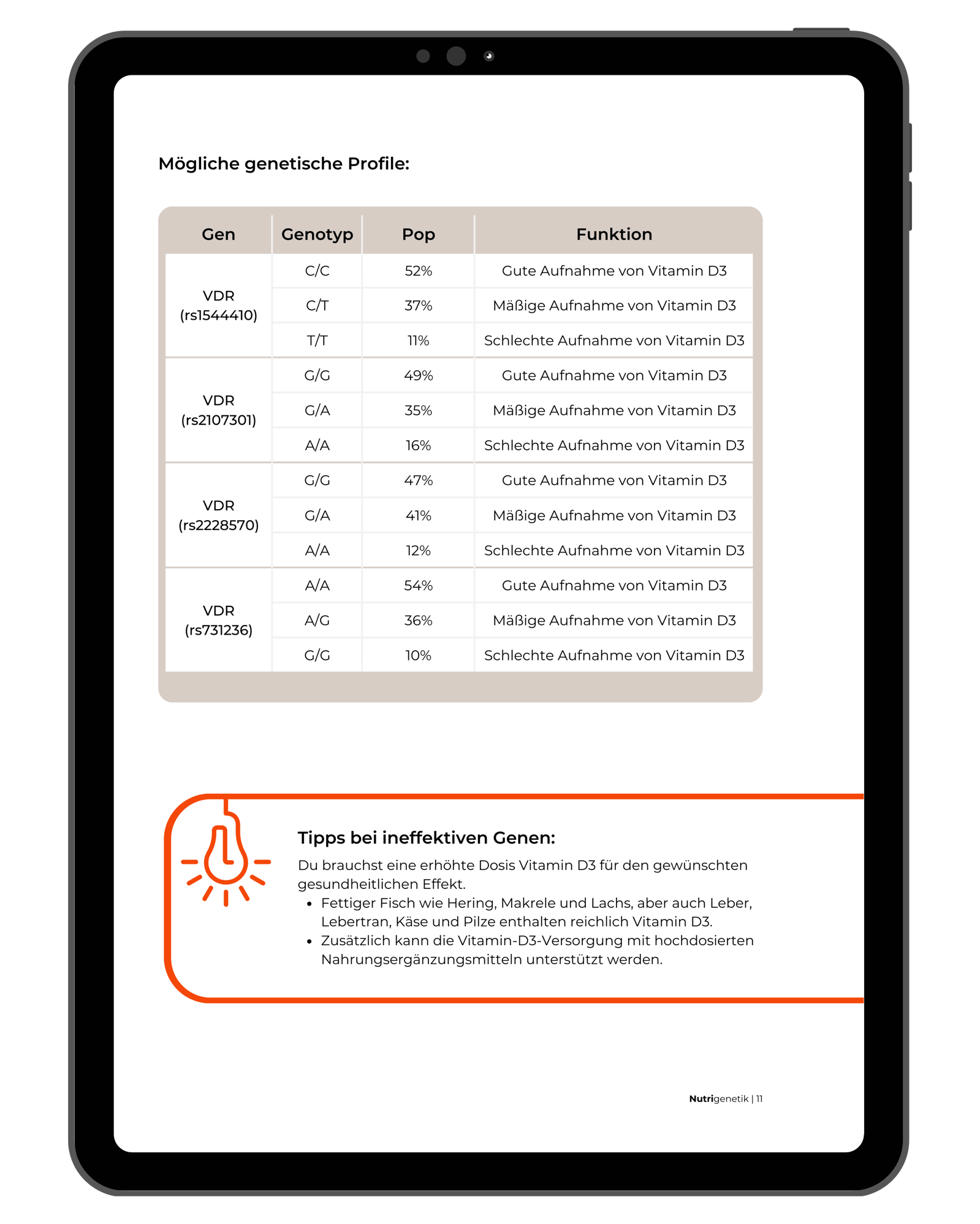 Einblick DNA Fibel rechte Seite