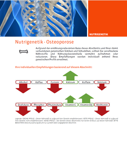 Präventionskogenetik_auswertung nutrigenetik