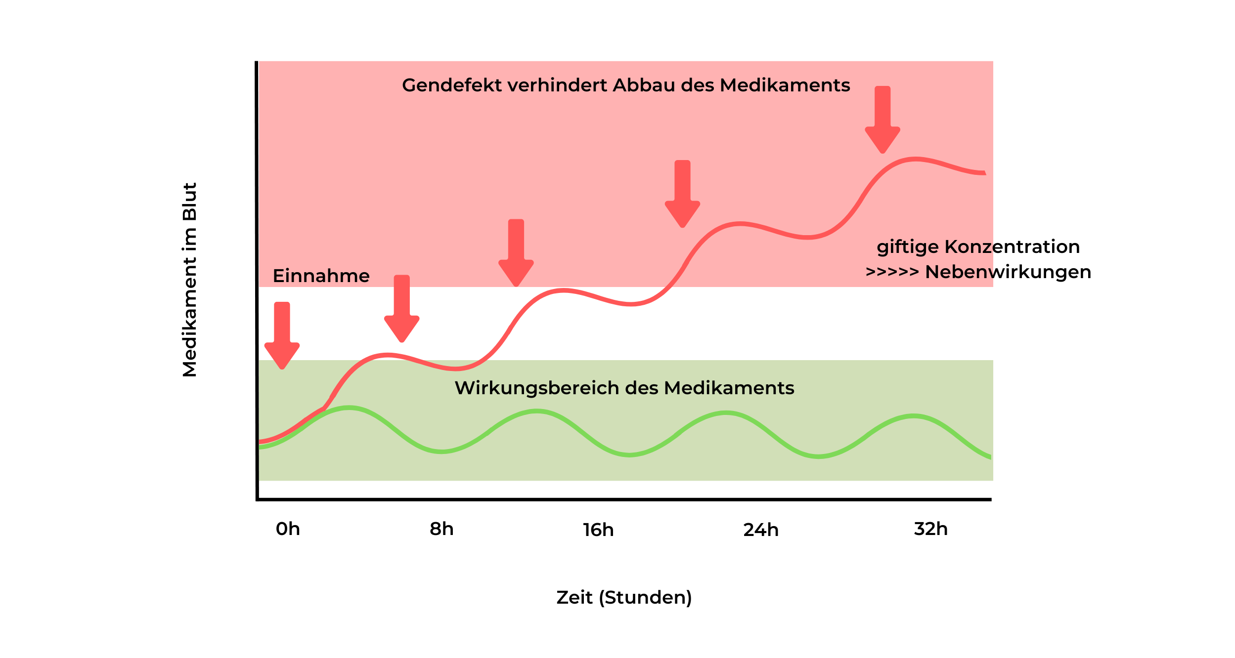 Wirkungsbereich Medikament-1